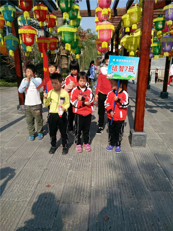 11137.jpg